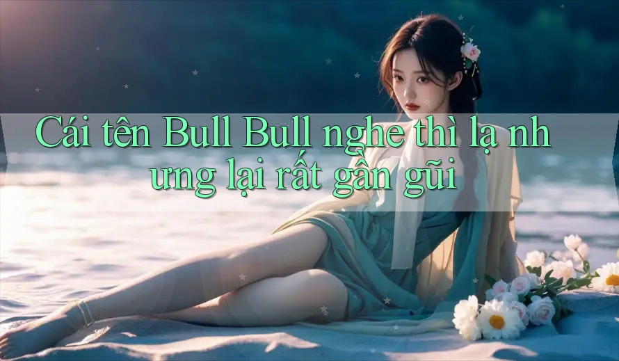 Cái tên Bull Bull nghe thì lạ nhưng lại rất gần gũi Cái tên Bull Bull nghe thì lạ nhưng lại rất gần gũi
