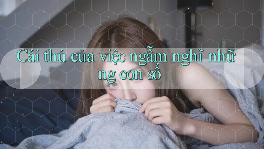 Cái thú của việc ngẫm nghĩ những con số Cái thú của việc ngẫm nghĩ những con số