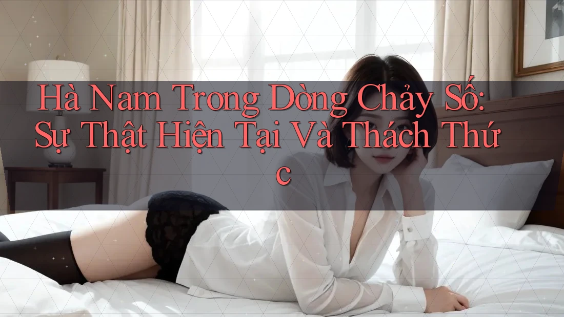 Hà Nam Trong Dòng Chảy Số: Sự Thật Hiện Tại Và Thách Thức Hà Nam Trong Dòng Chảy Số: Sự Thật Hiện Tại Và Thách Thức