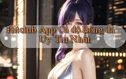 hitclub  app cá độ bóng đá uy tín nhất
