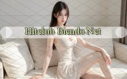 hitclub biendo net