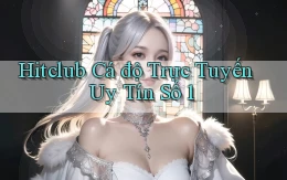 hitclub  Cá độ trực tuyến uy tín số 1