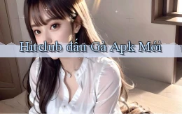 hitclub  đấu gà apk mới