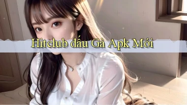 hitclub  đấu gà apk mới