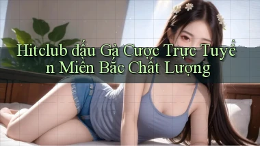 hitclub  đấu gà cược trực tuyến miền bắc chất lượng