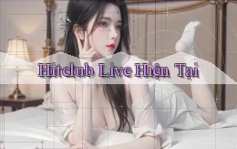 hitclub live hiện tại