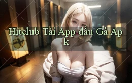 hitclub  tải app đấu gà apk