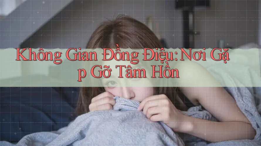 Không Gian Đồng Điệu: Nơi Gặp Gỡ Tâm Hồn