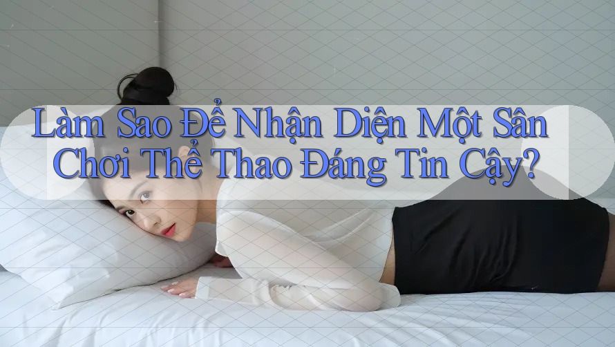 Làm Sao Để Nhận Diện Một Sân Chơi Thể Thao Đáng Tin Cậy? Làm Sao Để Nhận Diện Một Sân Chơi Thể Thao Đáng Tin Cậy?