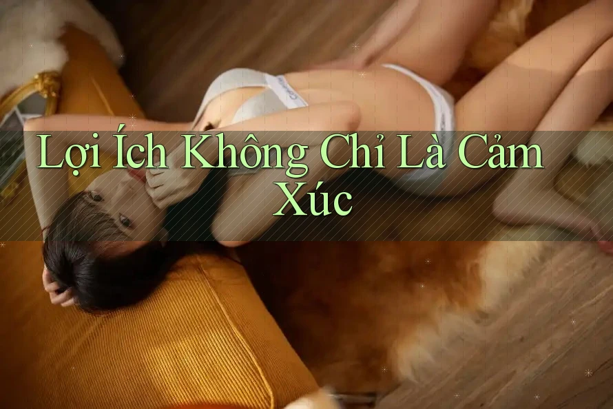 Lợi Ích Không Chỉ Là Cảm Xúc Lợi Ích Không Chỉ Là Cảm Xúc