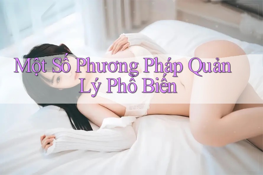 Một Số Phương Pháp Quản Lý Phổ Biến Một Số Phương Pháp Quản Lý Phổ Biến