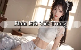 Phản hồi Vào trang