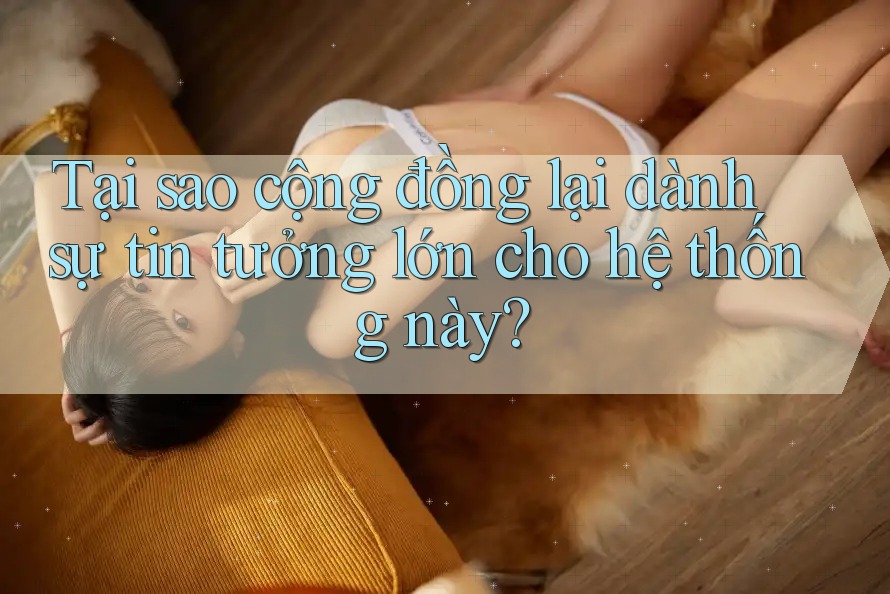 Tại sao cộng đồng lại dành sự tin tưởng lớn cho hệ thống này? Tại sao cộng đồng lại dành sự tin tưởng lớn cho hệ thống này?