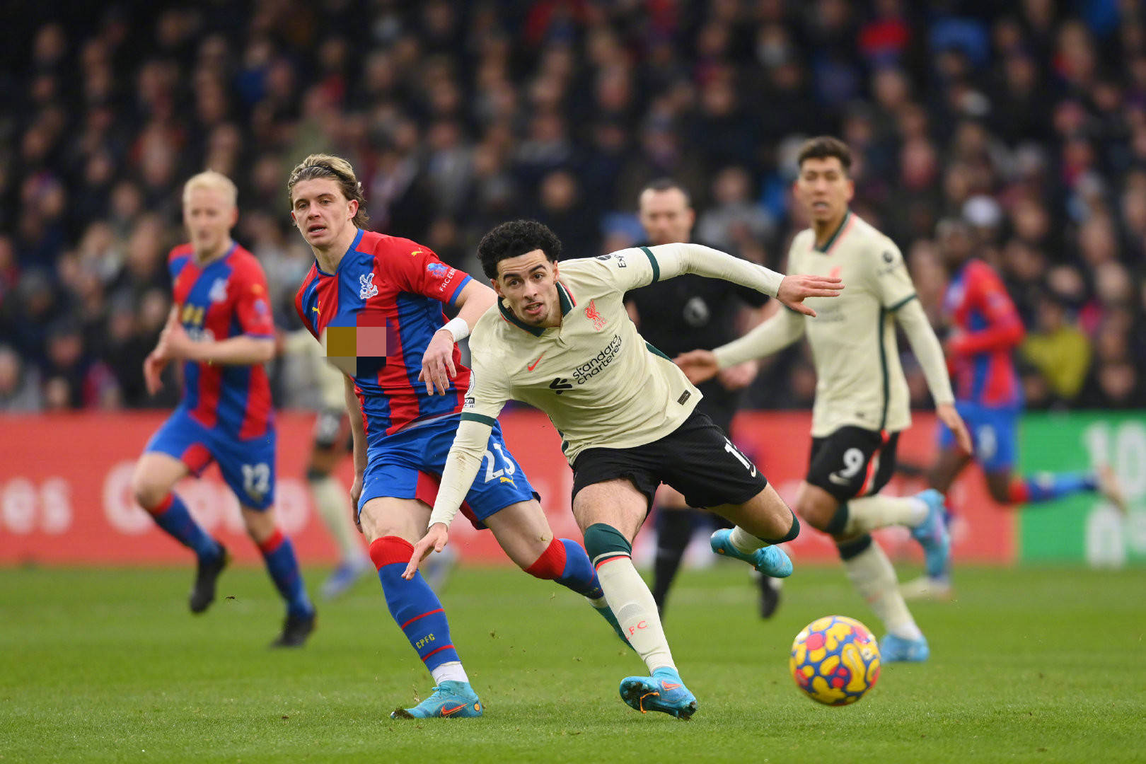 他的加入无 他的加入无